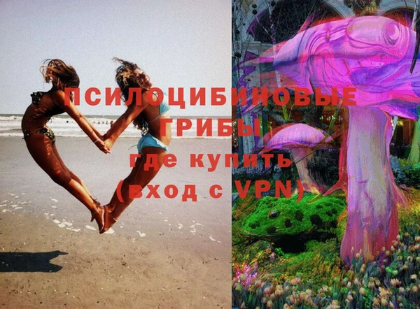 МДПВ Тавда