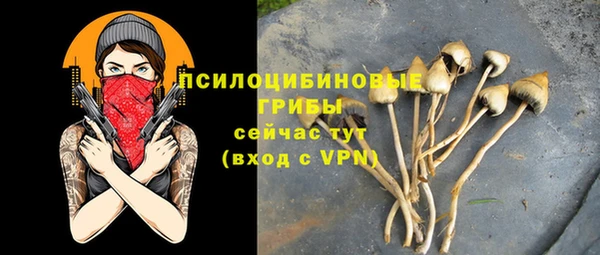бошки Белоозёрский